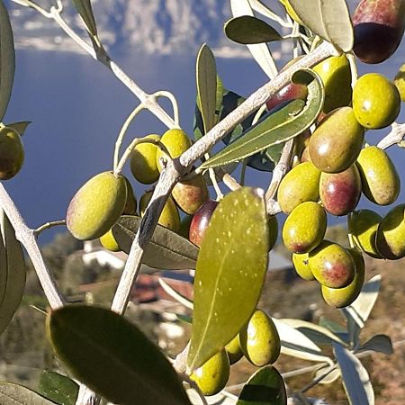 Appartamento Leccino Malcesine Exteriör bild