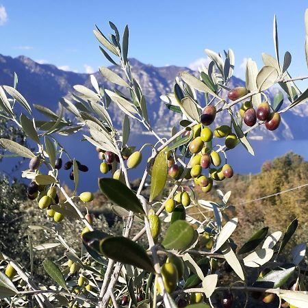 Appartamento Leccino Malcesine Exteriör bild