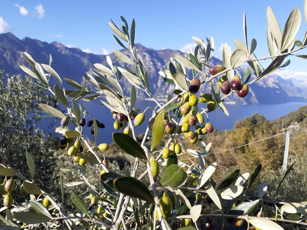 Appartamento Leccino Malcesine Exteriör bild